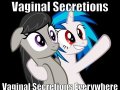 vaginalsecretions.jpg